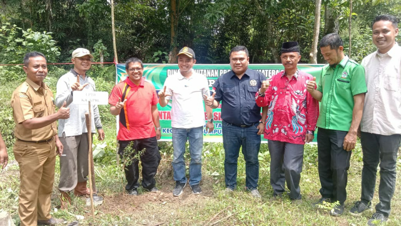 Anggota DPRD Sumbar Rico Alviano Serahkan Bantuan Bibit Kayu Putih di Nagari Tanjung Bonai Aur Sumpur Kudus Kabupaten Sijunjung, Selasa (16/8)