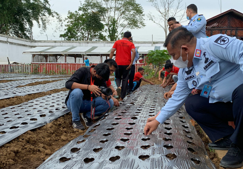 Kakanwil Kemenkumham Sumbar Lakukan Penanaman Bawang Perdana Di Lapas Bukittinggi