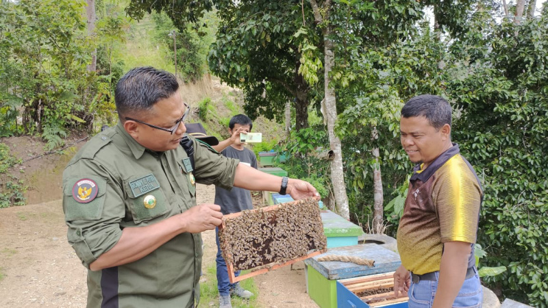 Ketua DPC PKB Kota Sawahlunto Ronny Eka Putra Kunjungi Ladang Madu Lebah Indra Gunawan di Nagari Kubang, Kamis (17/11)