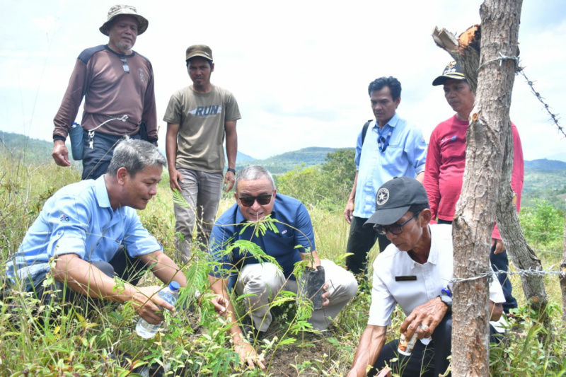 Direktur Keuangan dan Umum PT Semen Padang, Oktoweri melakukan penanaman bibit pohon kaliandra dari di Sawahlunto beberapa waktu lalu