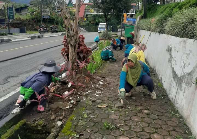 Petugas pertamanan Dinas Perkim LH Padang Panjang saat bersihkan taman kota.