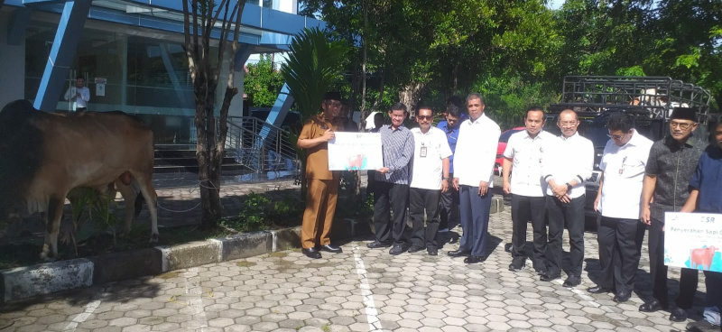 Ketua PWI Sumbar Basril Basyar menerima sapi qurban dari Bank Nagari.