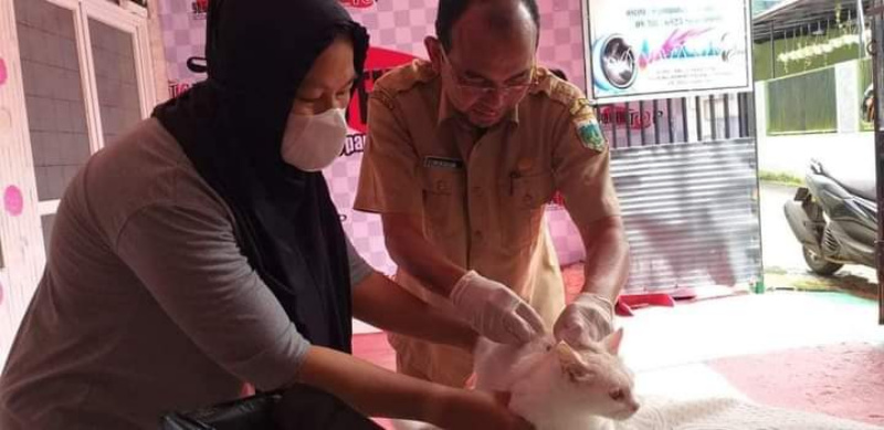 Petugas kesehatan hewan Dispangtan Padang Panjang saat beri suntikan HPR pada salah satu hewan piaraan warga.
