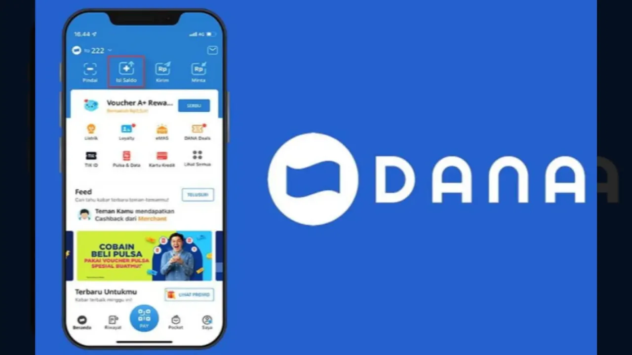 PayLaterDana