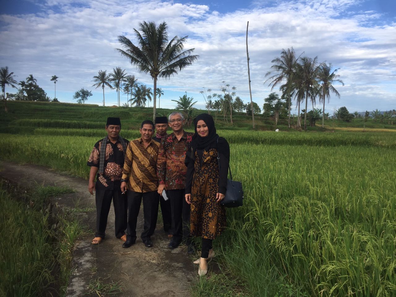 Hamparan Budidaya Petanian 