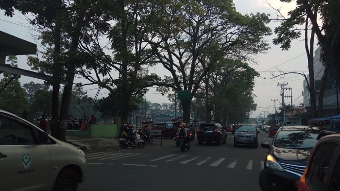 Kondisi kabut asap masih kelam di Sumbar