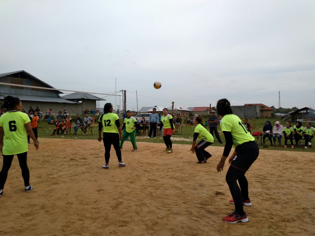 Turneman volly perwatar
